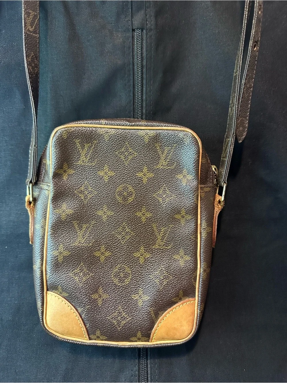 Louis Vuitton Monogram Danube crossbody